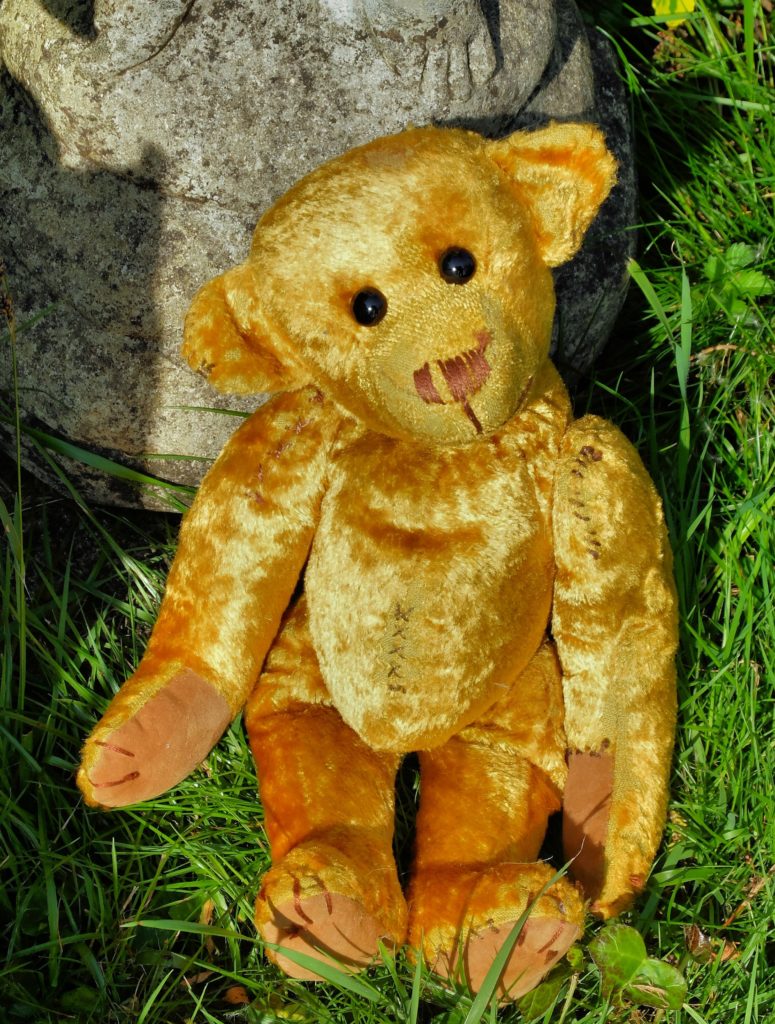 aloysius bear for sale