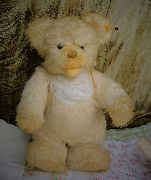 Old Steiff Bears – Old Teddy Bear Shop